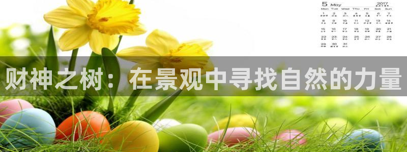 摩根娱乐宝怎样拉下线