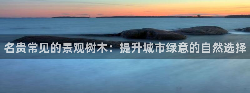 摩根会娱乐会所