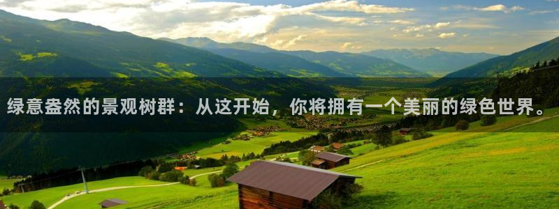 摩根大通黄金娱乐