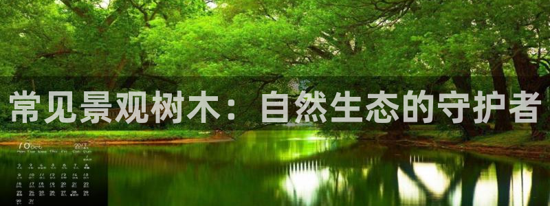 摩根时代资阳娱乐场所