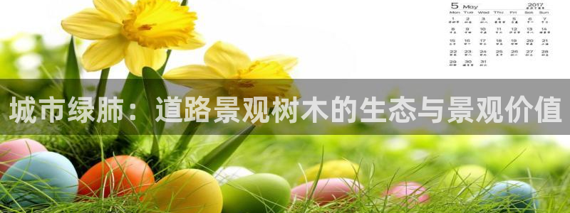 摩根娱乐宝官网下载