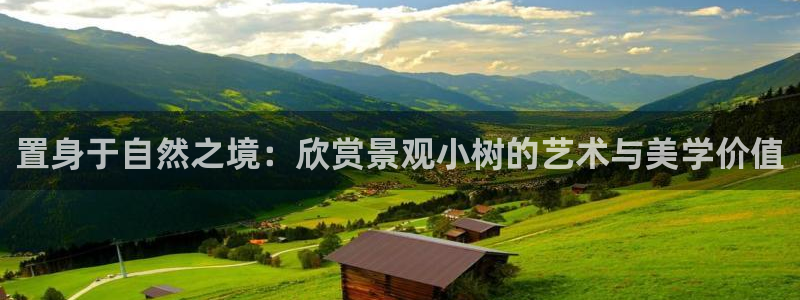 漳州摩根会娱乐