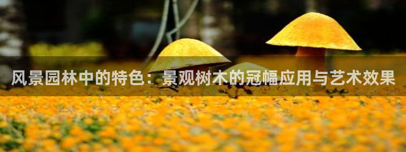 摩根娱乐50186夂