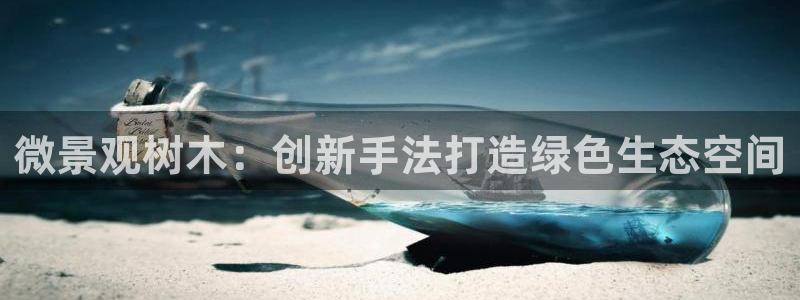 主角是摩根家族的娱乐文