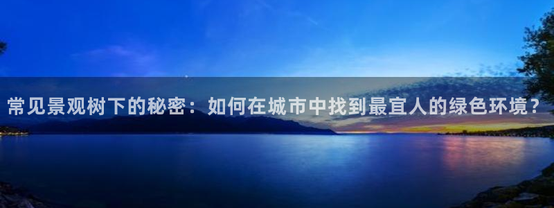 摩根娱乐宝教程