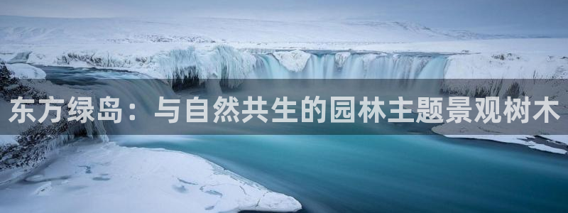 泉州摩根会娱乐张桂花