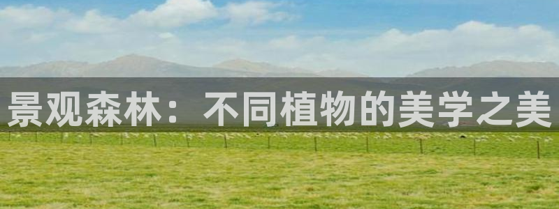 摩根娱乐这个平台怎么样