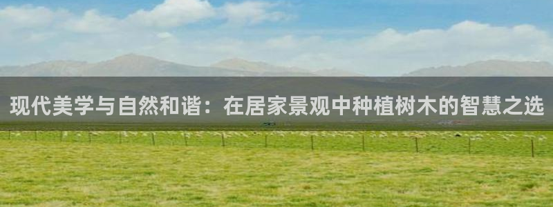 摩根娱乐 1老j板50820