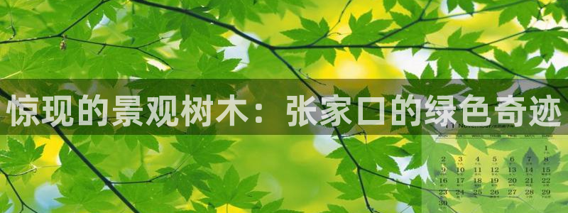 重生娱乐人生莉莉丝摩根：惊现的景观树木：张家口的绿色奇迹