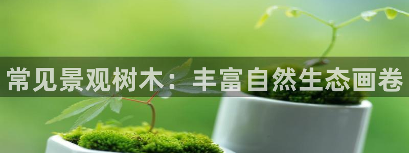 摩根大通旗下娱乐公司