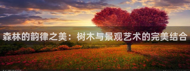 摩根娱乐宝老上不去啊