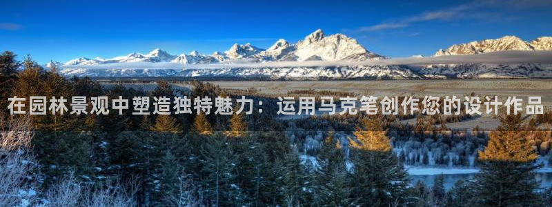 摩根娱乐是什么