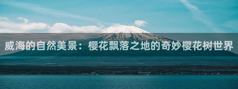 摩根娱乐和摩根国际