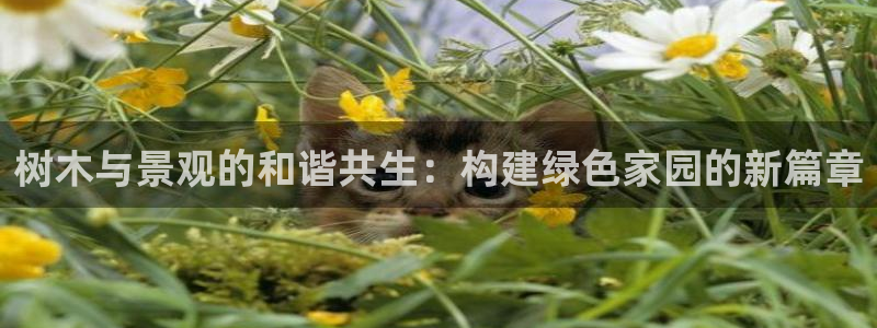 义乌摩根娱乐有限公司