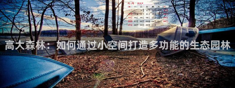 首页摩根娱乐平台：高大森林：如何通过小空间打造多功能的生态园林