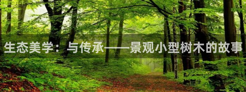 摩根100娱乐会所