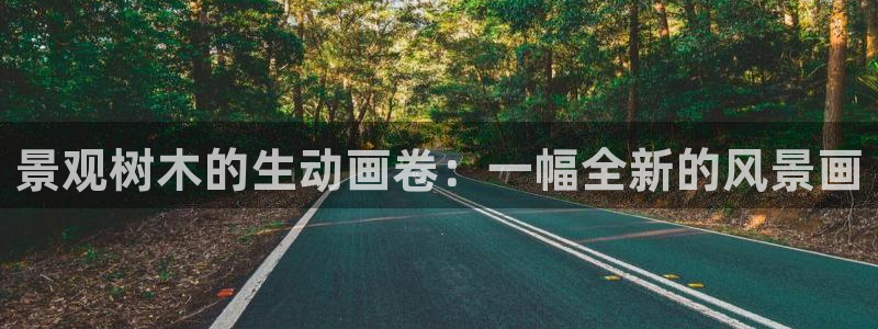 武汉摩根众睿娱乐