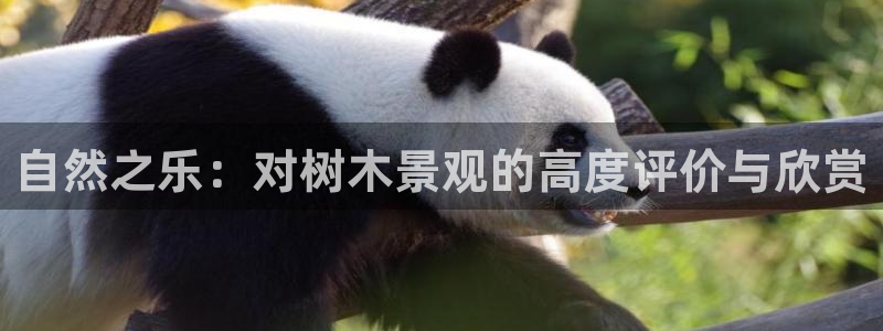 义乌摩根娱乐会所公主