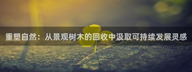摩根娱乐宝打不开