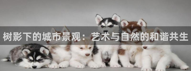 漳州摩根会娱乐