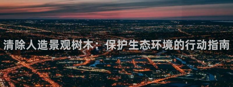 摩根娱乐百家号