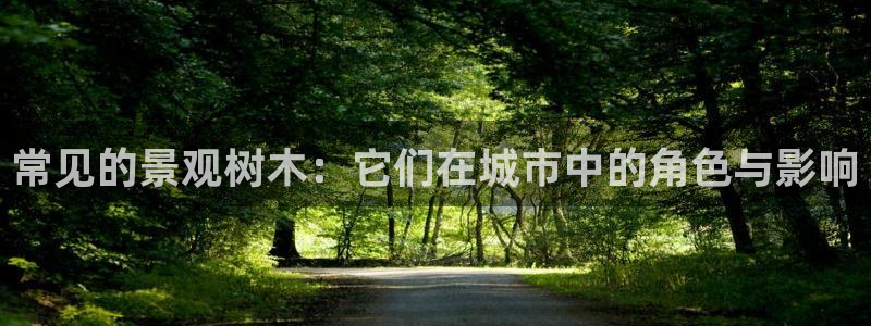 摩根国际娱乐会所