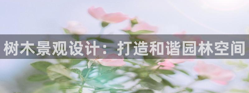 嘉兴摩根大饭店 娱乐