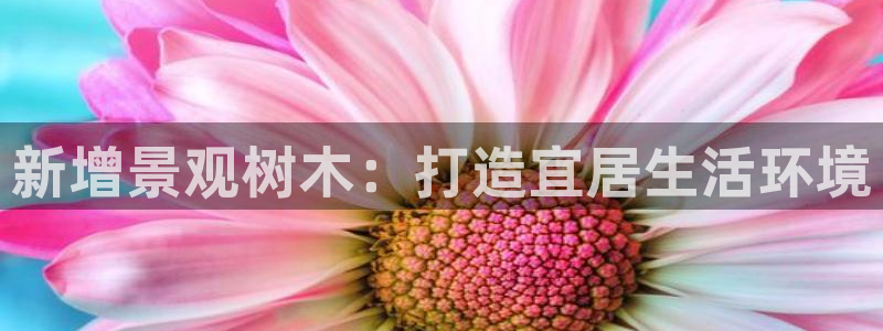 主角是摩根家族的娱乐文