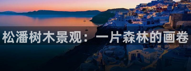 泉州摩根会娱乐