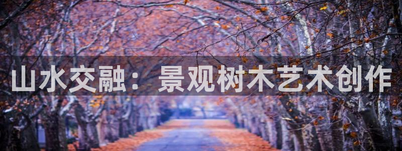 摩根娱乐宝怎么赚钱