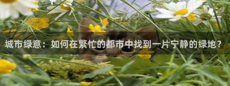 济宁摩根国际娱乐:城市绿意:如何在繁忙的都市中找到一片宁静的绿地?