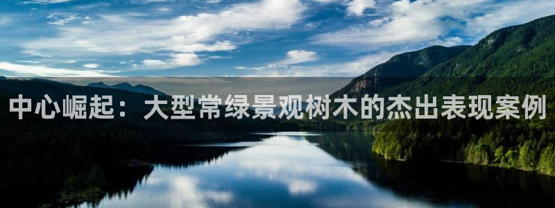 摩根娱乐50186叩