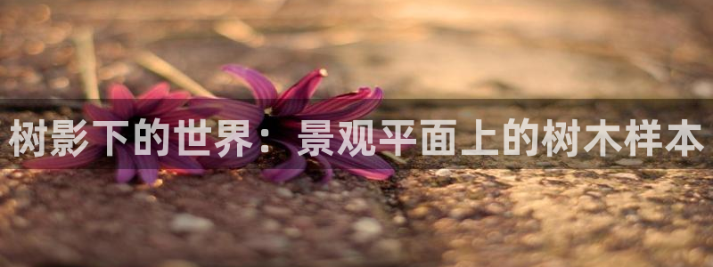 义乌摩根娱乐消费多少