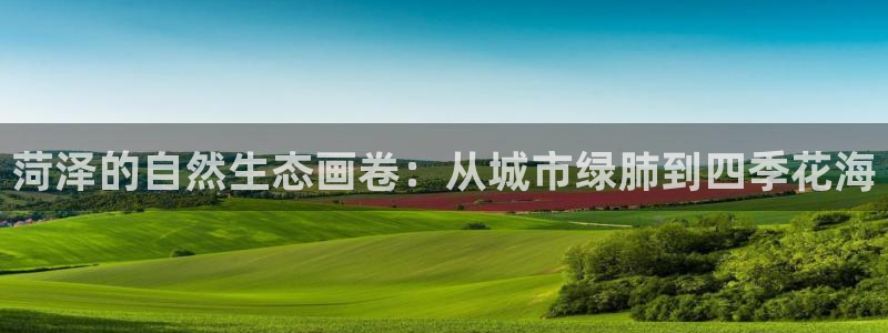 摩根娱乐宝怎么进入