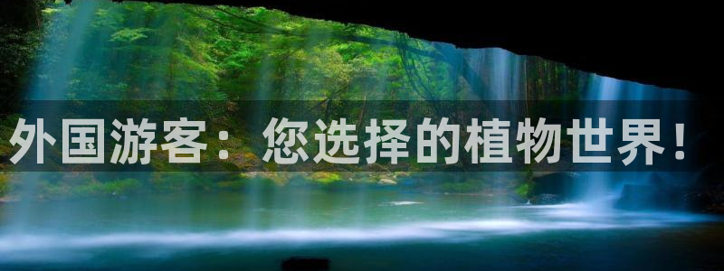 摩根娱乐云挂机项目