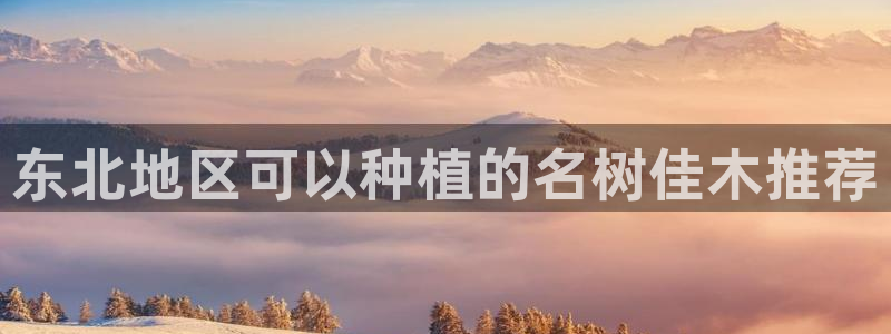 华视娱乐 摩根 王琛