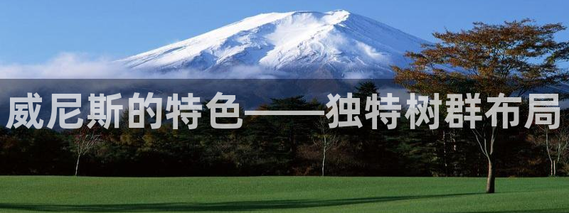 摩根国际娱乐宝下载:威尼斯的特色——独特树群布局