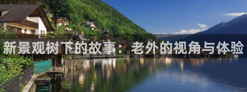 摩根娱乐50186夂:新景观树下的故事:老外的视角与体验