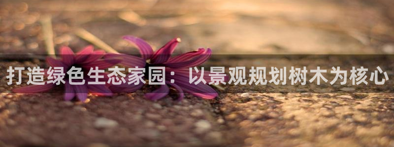 摩根兄弟进军娱乐圈