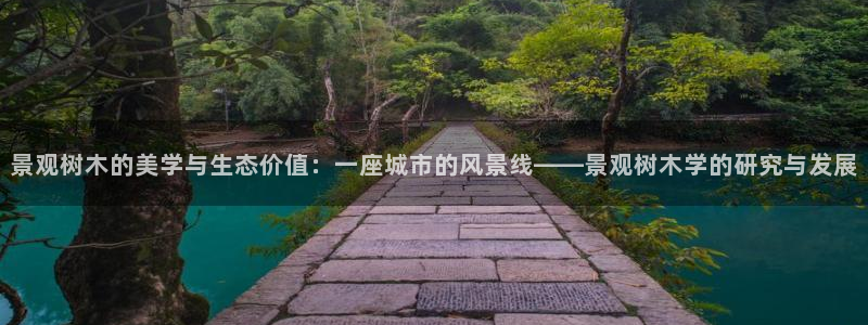 摩根国际娱乐宝书籍