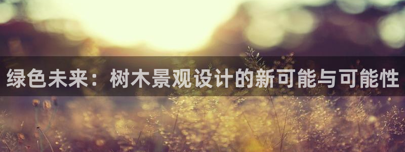 摩根娱乐50186叩