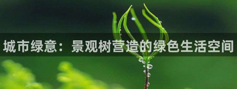 摩根太古互动娱乐中心：城市绿意：景观树营造的绿色生活空间