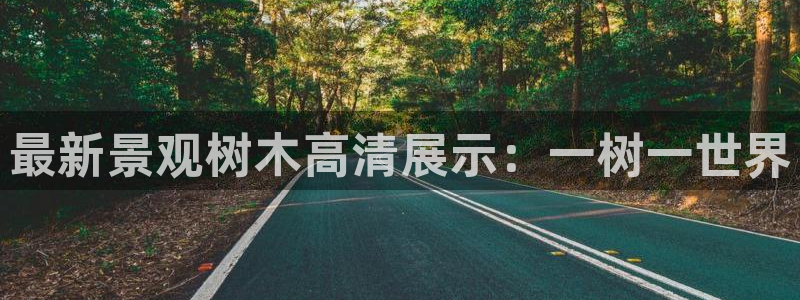 漳州摩根会娱乐