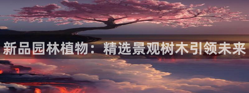 芜湖摩根一百有哪些娱乐