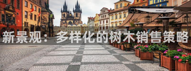 摩根娱乐宝创始人