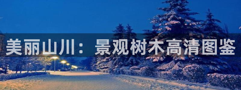 摩根娱乐官网下载