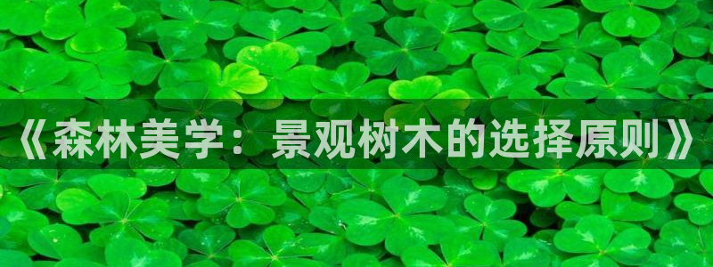 义乌摩根娱乐会所图片