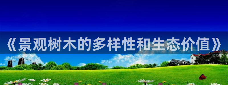 白宫摩根会娱乐会所