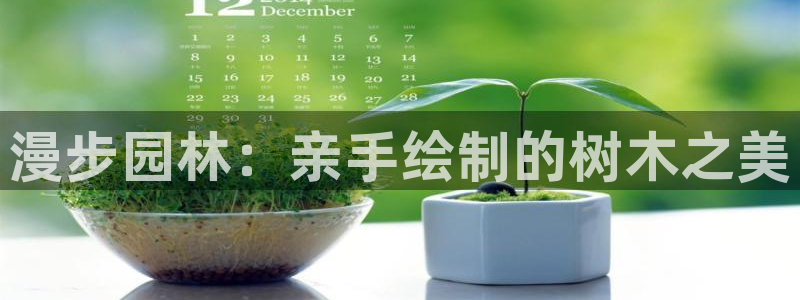 摩根娱乐挂机项目是什么