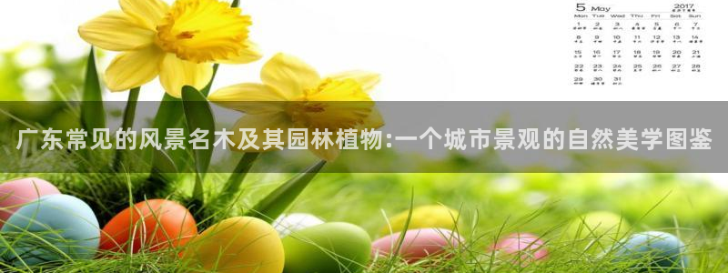 摩根娱乐宝骗局